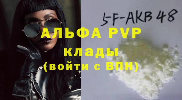 шишки Белоозёрский