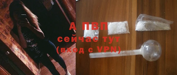 шишки Белоозёрский