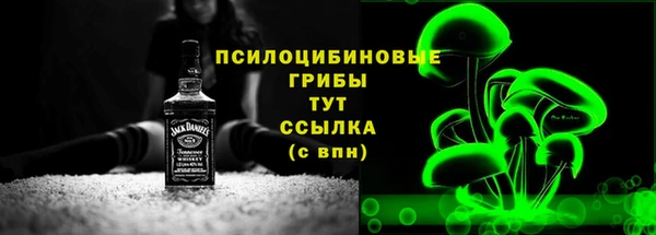 первитин Богородицк