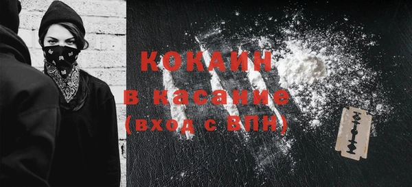 шишки Белоозёрский