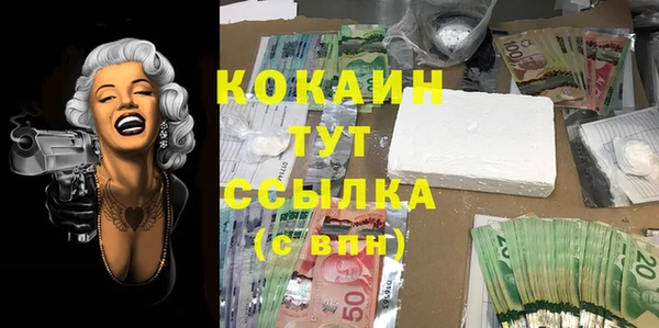 2c-b Богданович