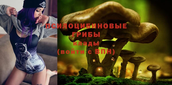 шишки Белоозёрский