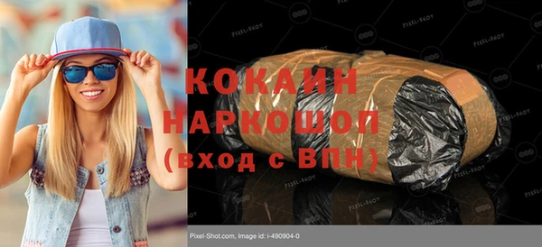 шишки Белоозёрский