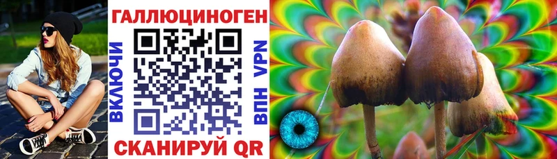 Псилоцибиновые грибы Psilocybe  Белоярский 